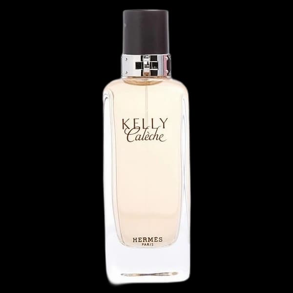 Kelly Caleche de Hermes